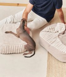 Beige Corduroy hundsäng med huva, Maso