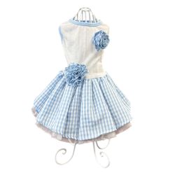 Checked Picnic Dress White/Blue