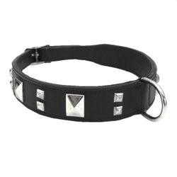 Black Leather Collar w. diamond studs