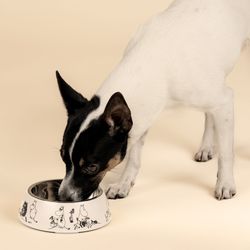 Moomin 80 years Pets Bowl S