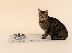 Moomin 80 years Pets Bowl XS