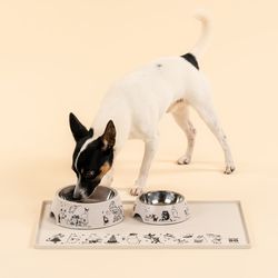 Moomin 80 Years Pets Silicon Mat 48x30cm