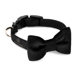 Halsband Bow-Tie Black