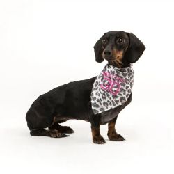 I Love My Dog Safari Bandana Leopard 35x35cm