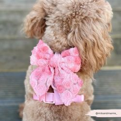 Cocopup London Peony Pup Sailor Bow