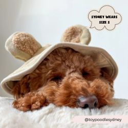 Cocopup London Teddy Drying Robe