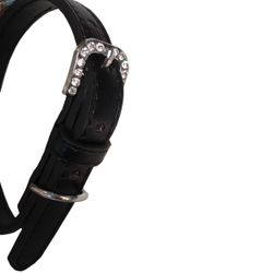 Bandana w Black Collar - British