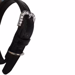 Bandana w Black Collar - Paisley