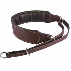 Leather Choke Collar