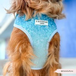 Cocopup London Seaside Shimmer Hundsele