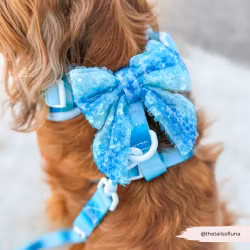 Cocopup London Seaside Shimmer Sailor Bow