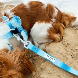 Cocopup London Seaside Shimmer Hundkoppel