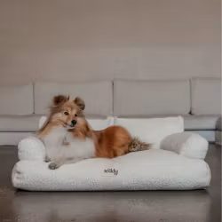 By Teddy Teddington Hundsoffa