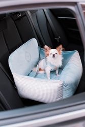 Porto Blue Bilstol till hund