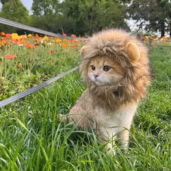Mössa Hund & Katt, Lejonman
