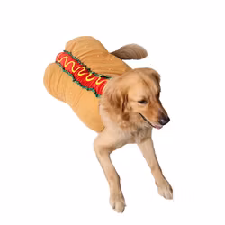 Maskeraddräkt Hot Dog