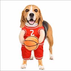 Maskeraddräkt hund, Basket