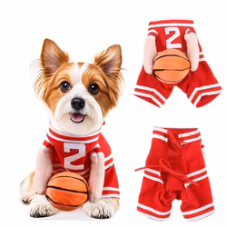 Maskeraddräkt hund, Basket