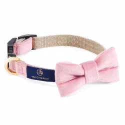 Hundhalsband Bow-Tie Aurora Pink