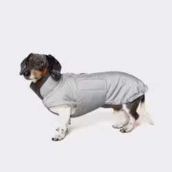 Cloud7 Dog Coat Brooklyn DACHSHUND Reflective