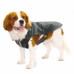 Waterproof coat with tartan lining, Green