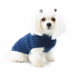 Cortina Merino Sweater, Blue