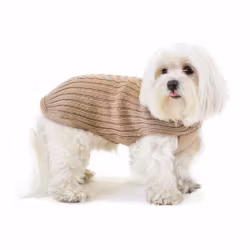 Cortina Merino Sweater, Beige