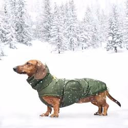 Cloud7 Hundtäcke Tax Alaska Olive