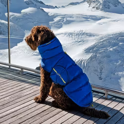 Cloud7 Hundtäcke Alaska Blue