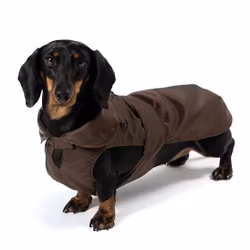 Waterproof Dachshund Coat Detachable Padding