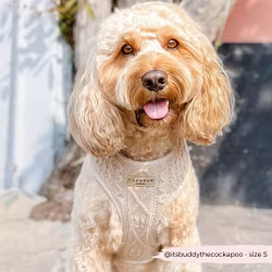Cocopup Kabelstickad Hundsele, Toffee Pup