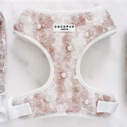Cocopup London Hundsele, Pearly