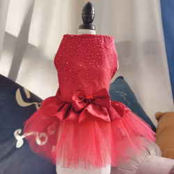 Red Party Dress