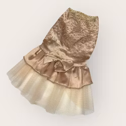 Golden Party Dress