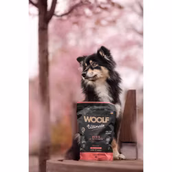 WOOLF ULTIMATE DOGFOOD, Fish with Salmon