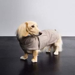 Cloud7 Dachshund Coat Brooklyn Tweed Beige