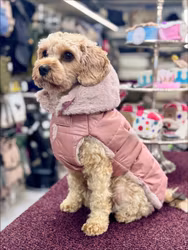 Quilted dog coat, Soft Pink