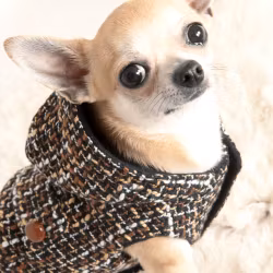 Wool Blend Jacket Nut Brown