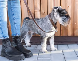 G&E Halvstryp Skinn Brun