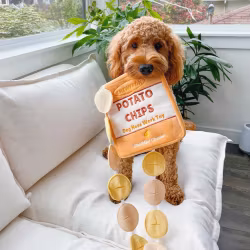 Potato Chips Nosework Toy