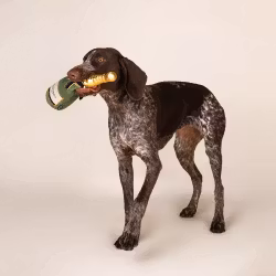 Champagne Squeaky Toy