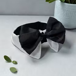 Small Dog Bow Collar Black & White