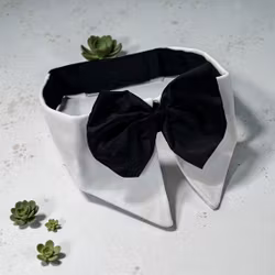 Big Dog Bow Collar Black & White