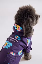 Marc Jacobs x Hattie Stewart Regntäcke