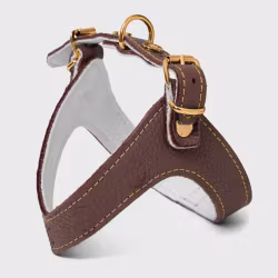 Exclusive Leather Harness Brown