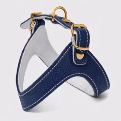 Exclusive Leather Harness Royal Blue