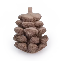Pinecone Dog Toy - Level 2