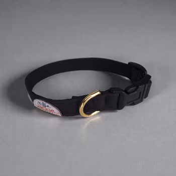 Jackie Hundhalsband Click-Lock Svart
