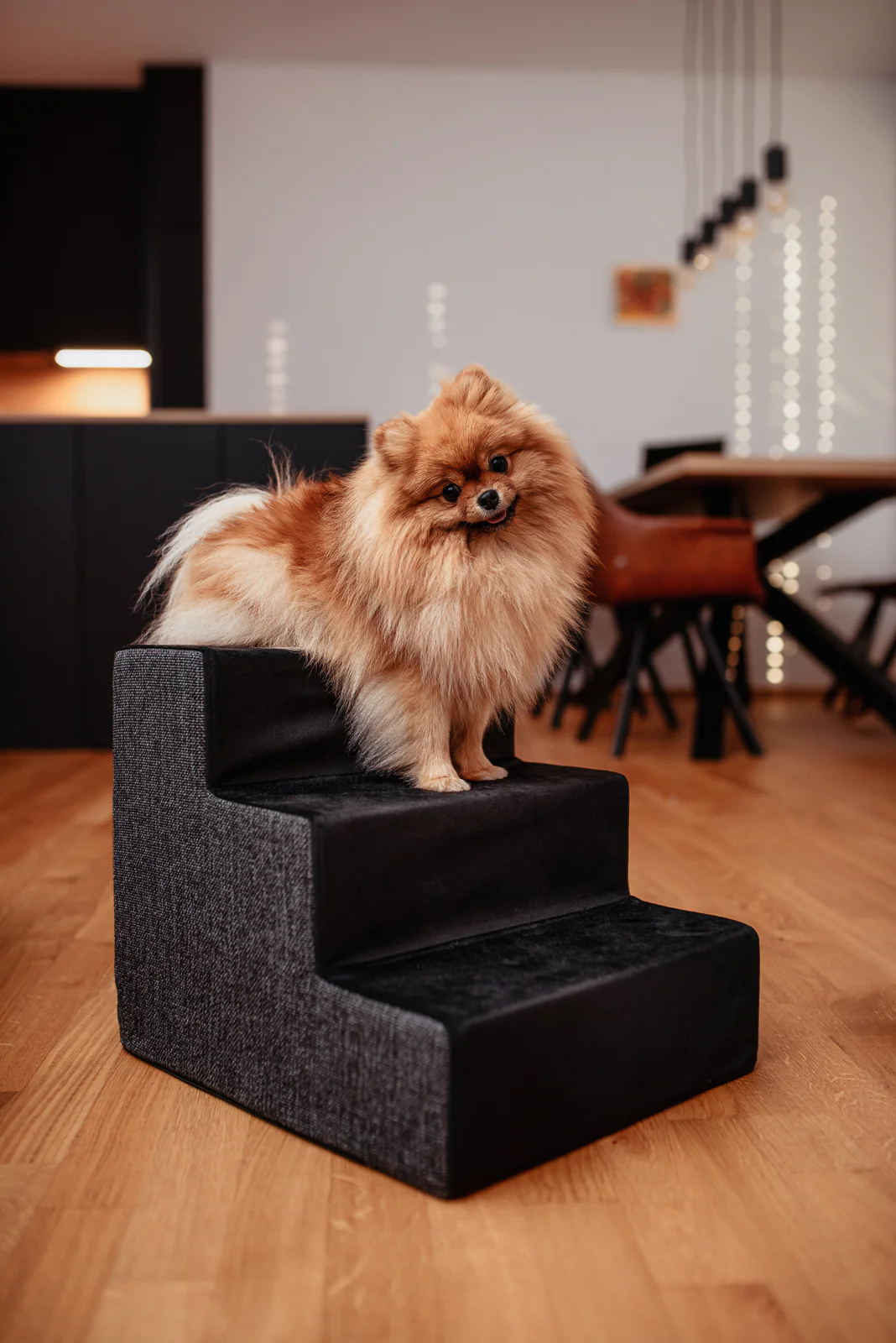 Hundtrappa Benz, Svart