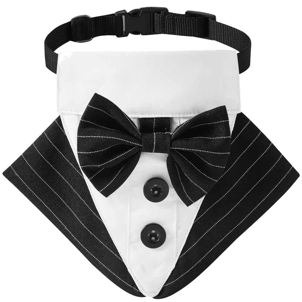 Tuxedo Collar Black
